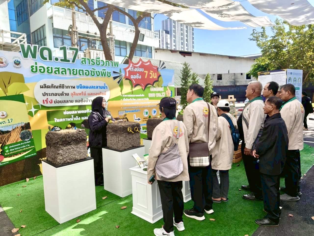 ภาพประกอบที่ 6