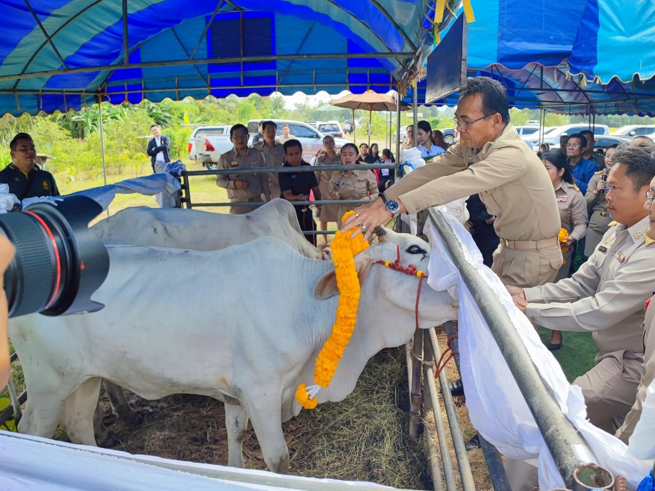 ภาพประกอบที่ 5
