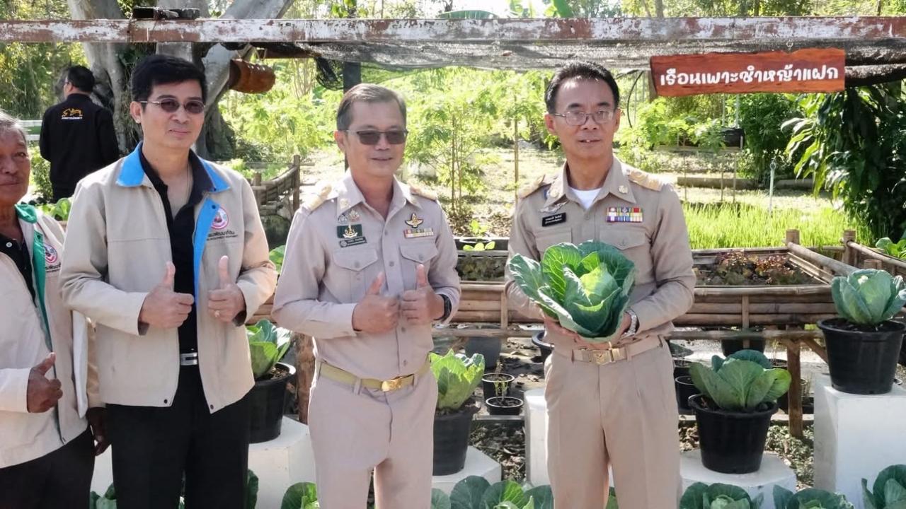 ภาพประกอบที่ 8