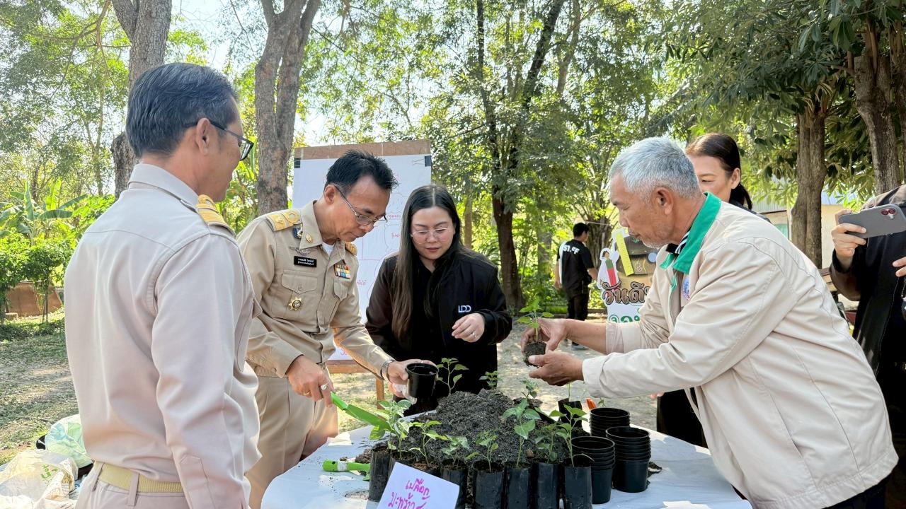 ภาพประกอบที่ 12