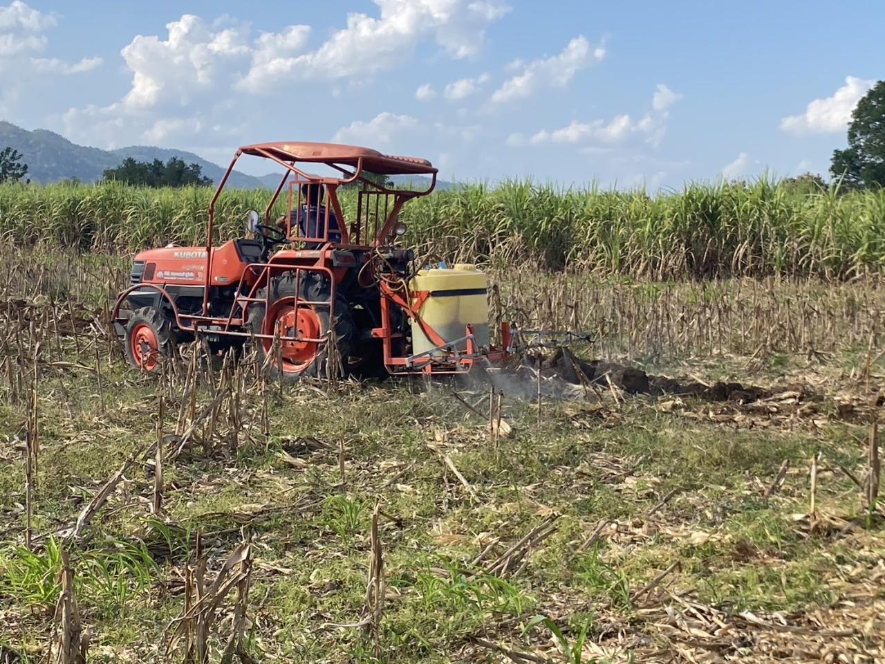 ภาพประกอบที่ 5