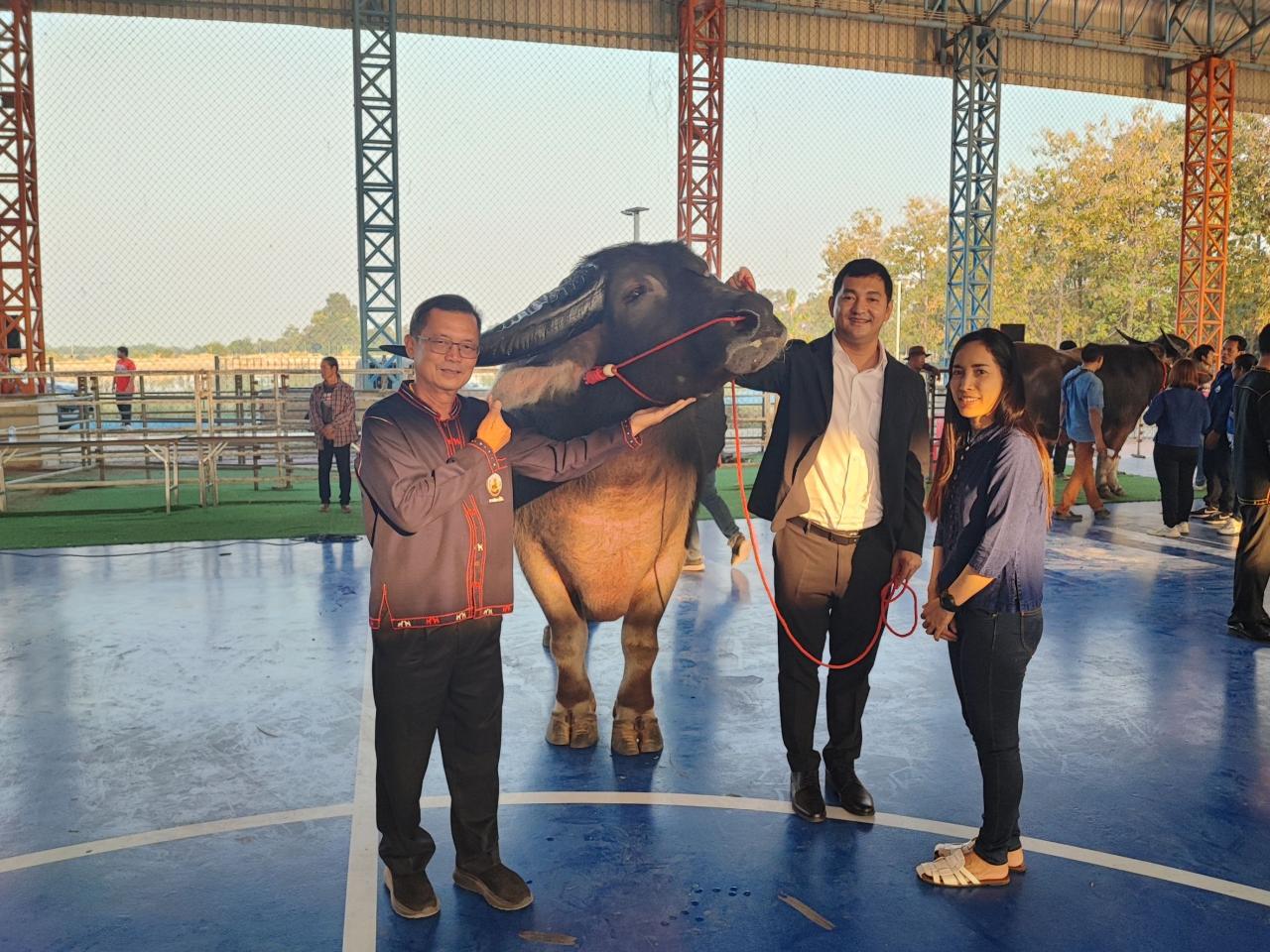 ภาพประกอบที่ 3