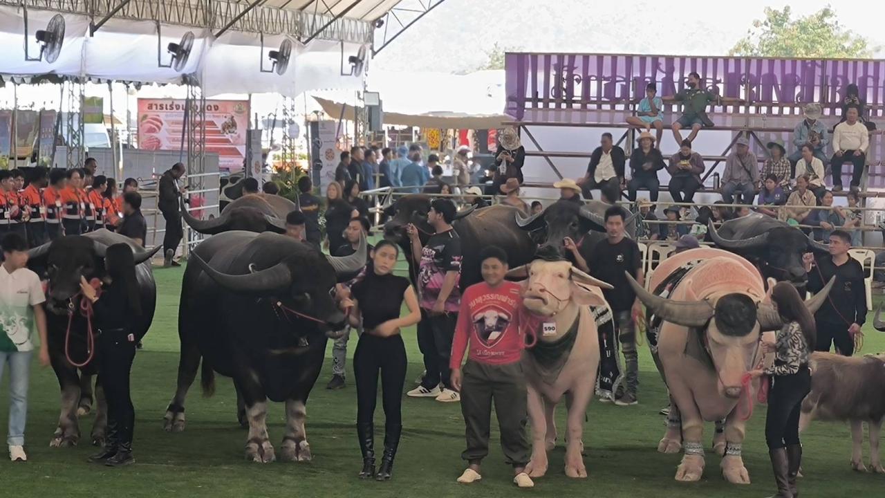 ภาพประกอบที่ 5