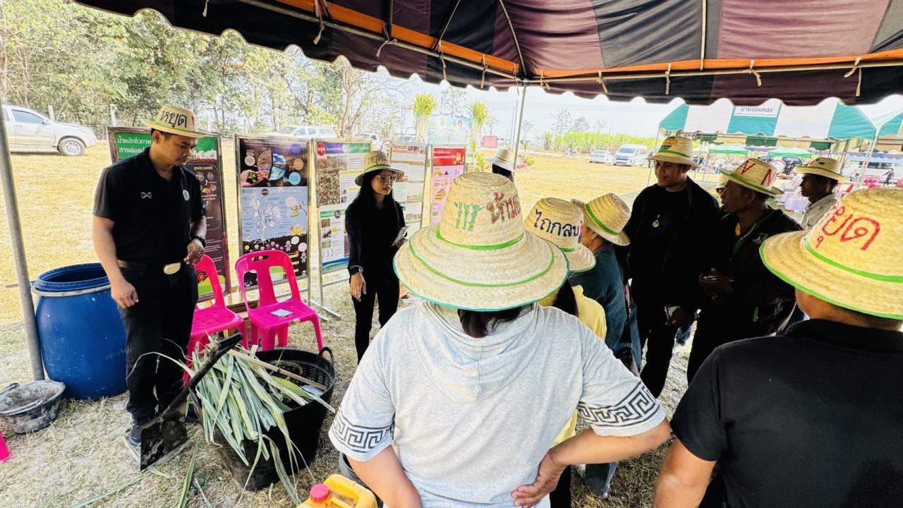 ภาพประกอบที่ 7