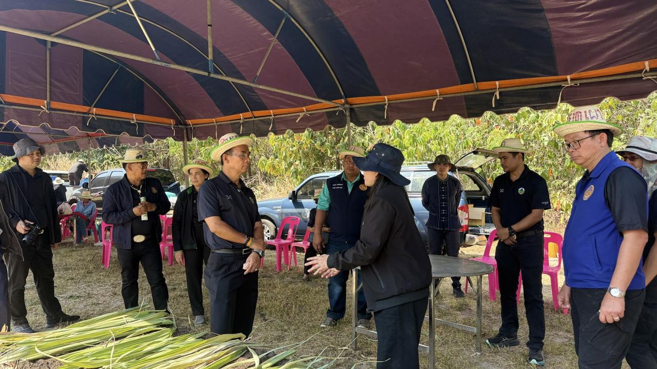 ภาพประกอบที่ 11