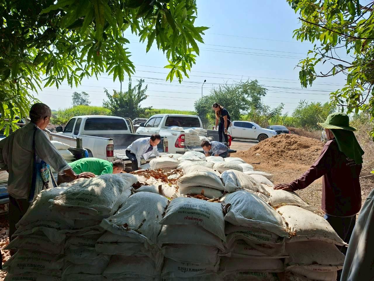 ภาพประกอบที่ 10