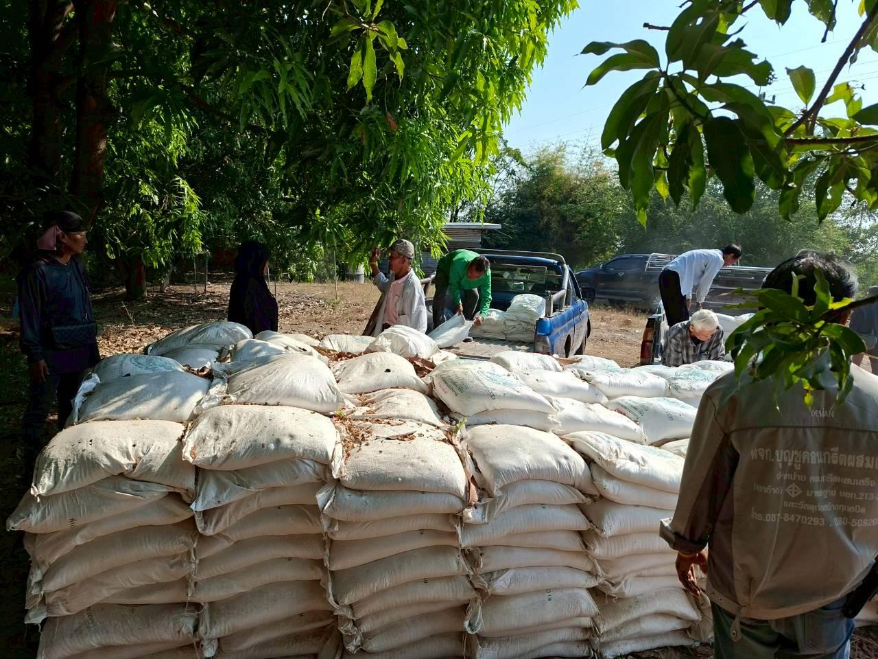 ภาพประกอบที่ 11