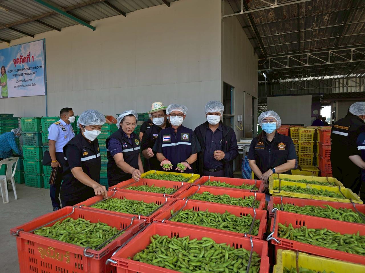 ภาพประกอบที่ 5