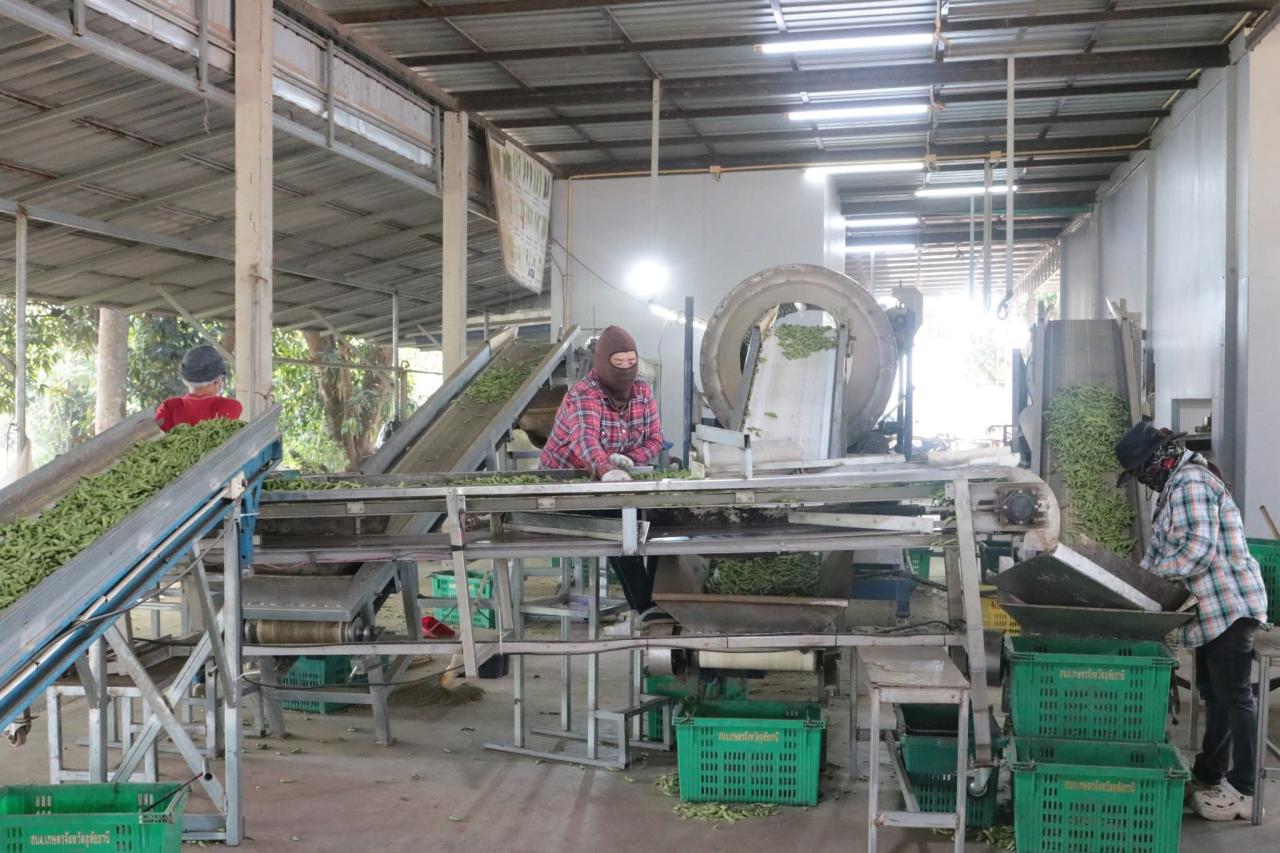 ภาพประกอบที่ 7