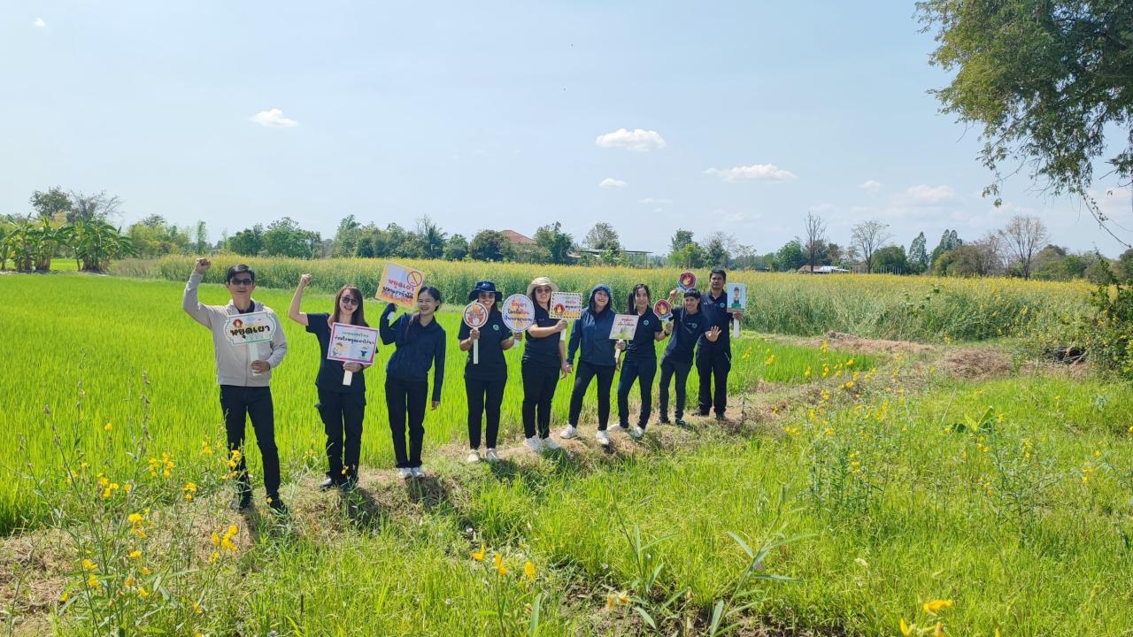 ภาพประกอบที่ 1