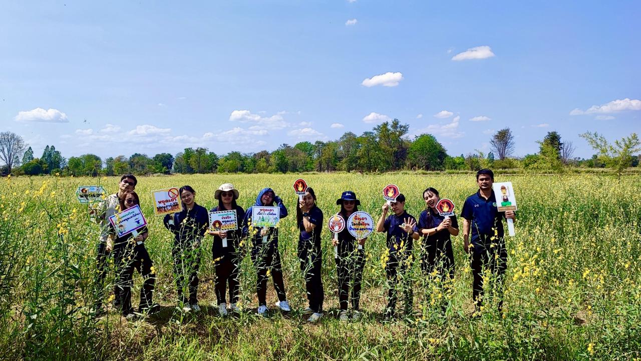 ภาพประกอบที่ 4
