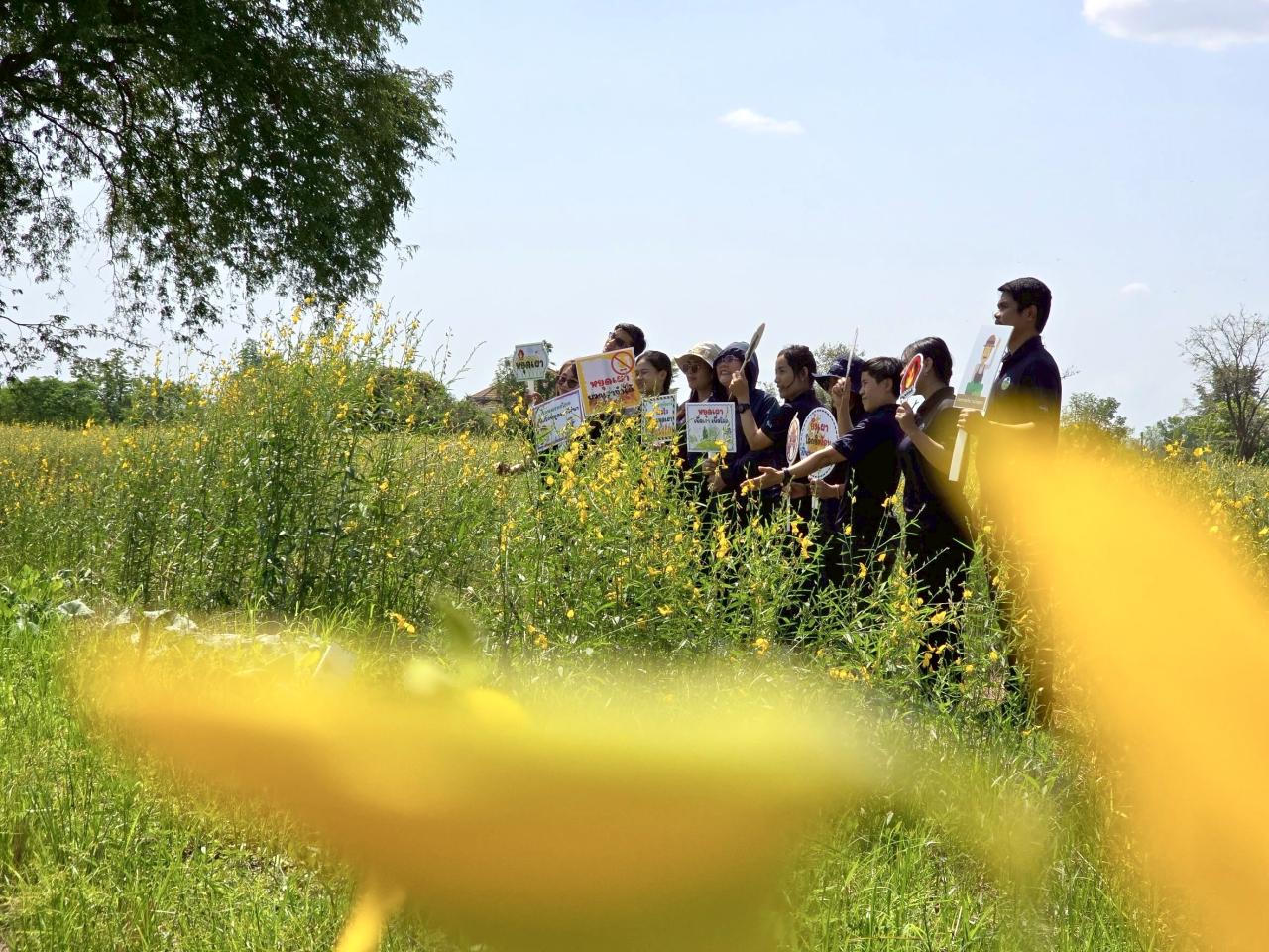 ภาพประกอบที่ 5