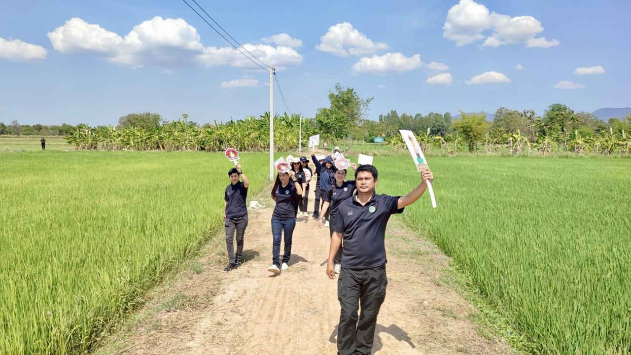 ภาพประกอบที่ 9