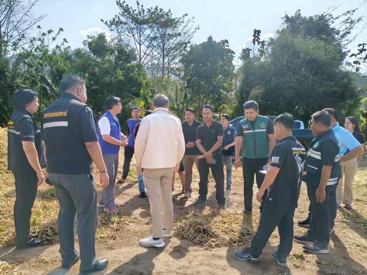 ภาพประกอบที่ 4