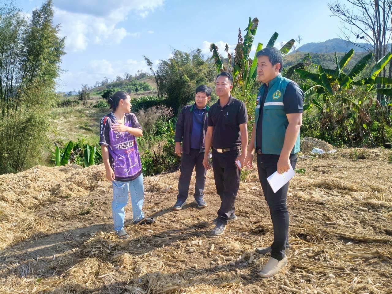 ภาพประกอบที่ 5