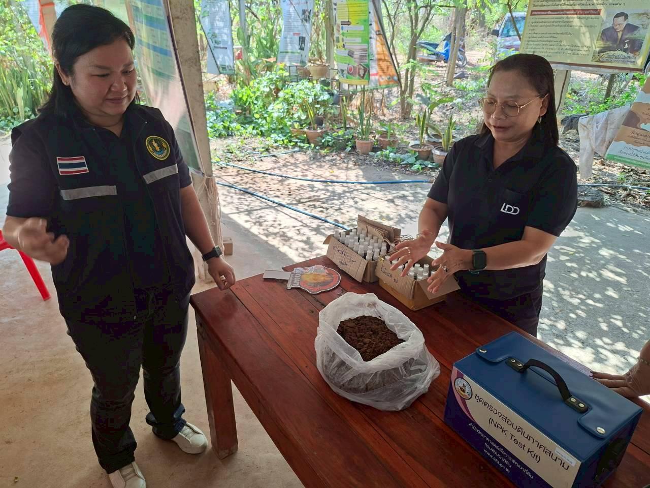 ภาพประกอบที่ 2