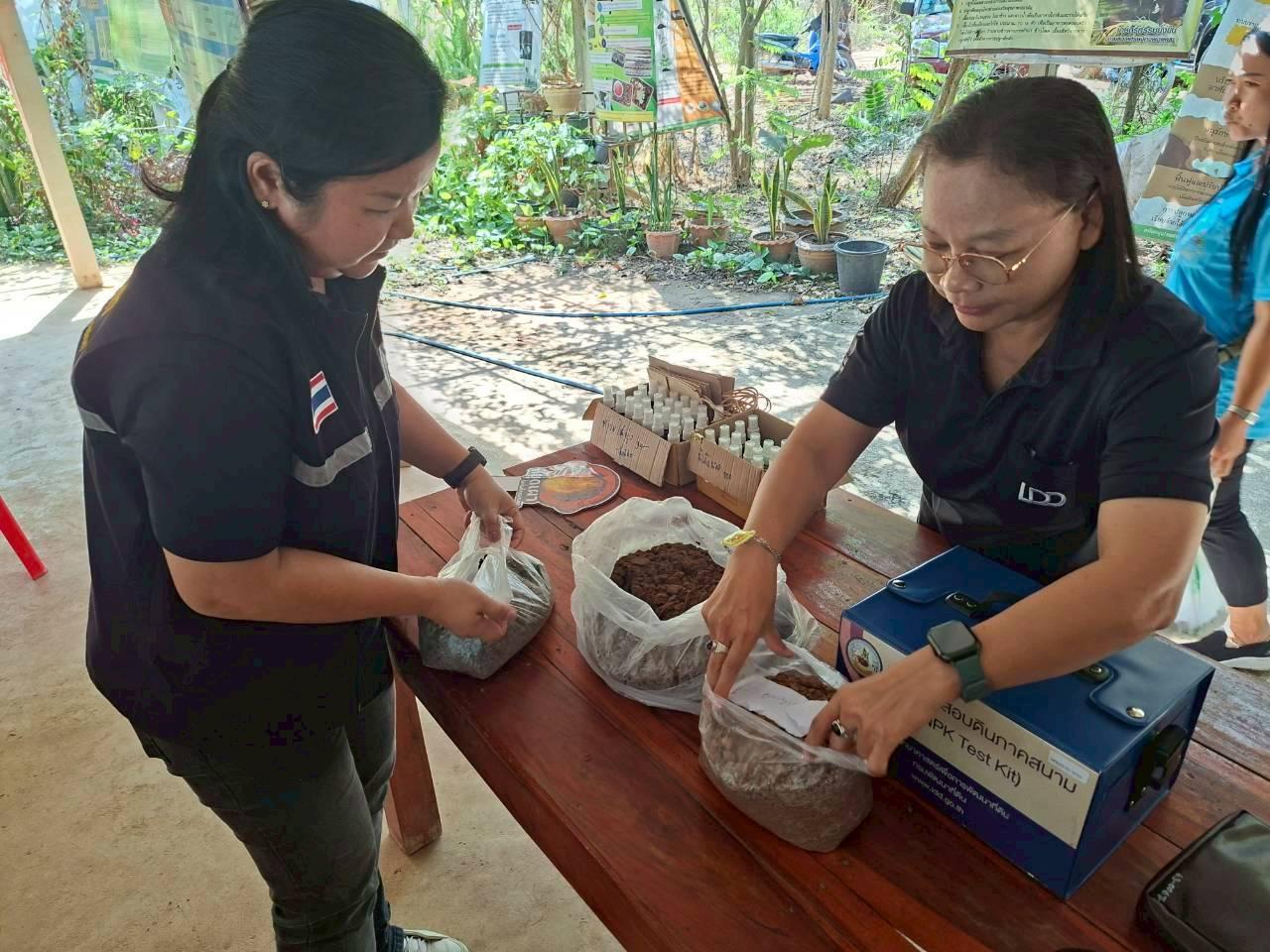 ภาพประกอบที่ 3