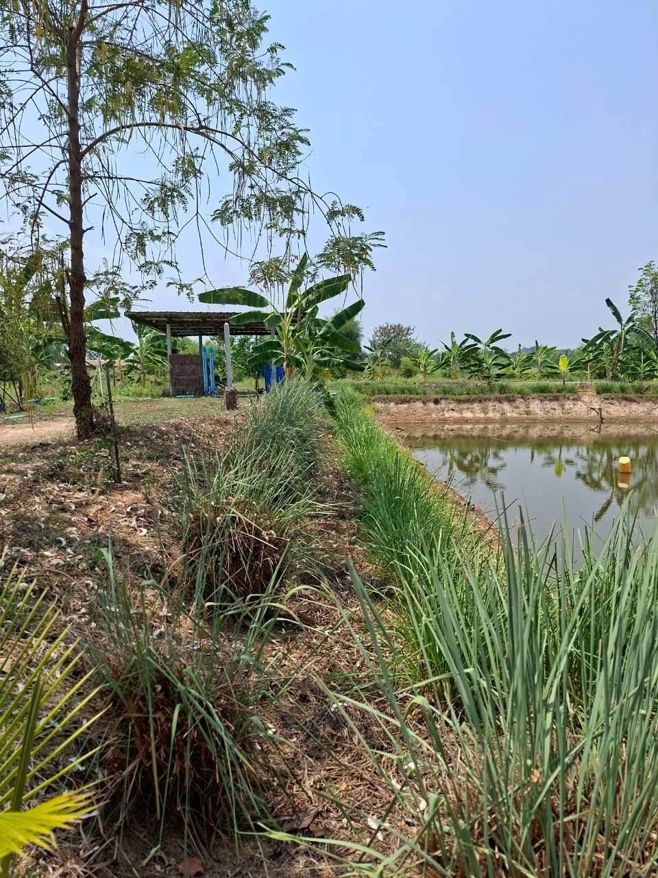 ภาพประกอบที่ 8