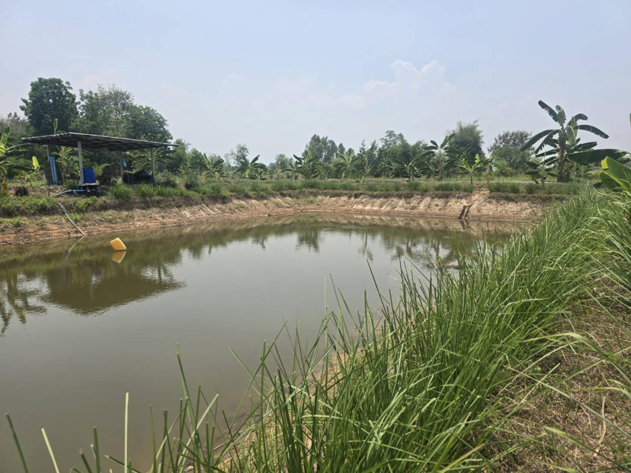 ภาพประกอบที่ 9