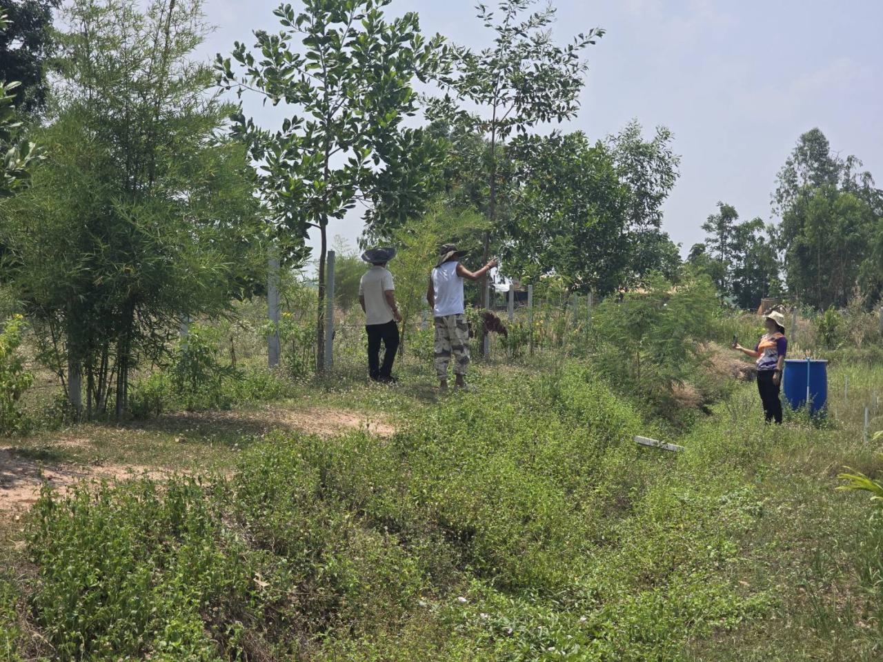 ภาพประกอบที่ 2