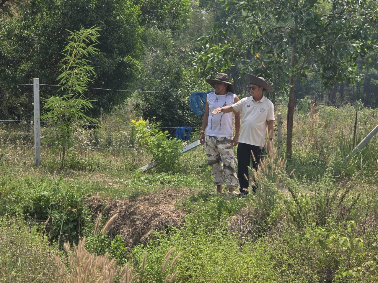 ภาพประกอบที่ 3