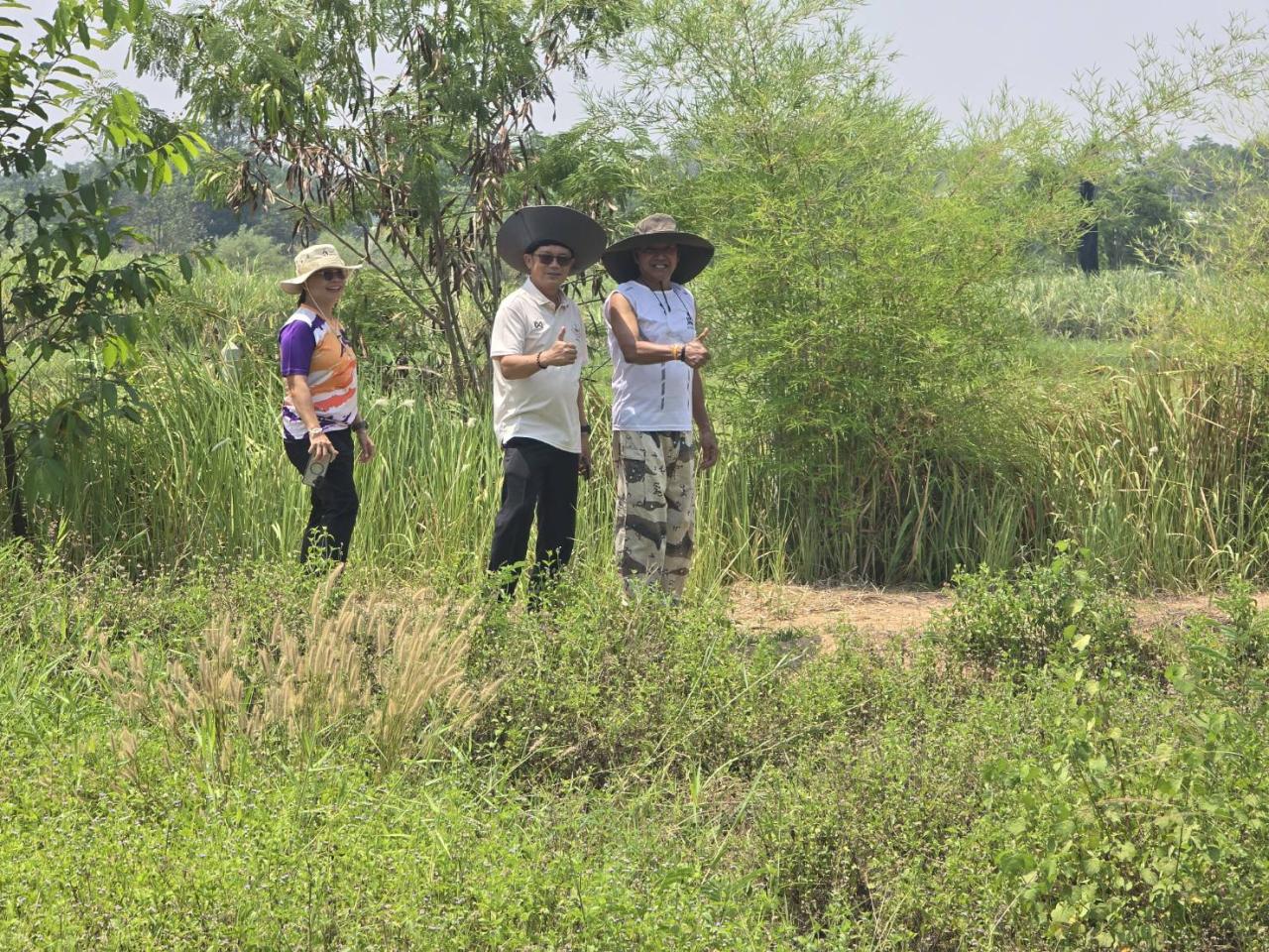 ภาพประกอบที่ 4
