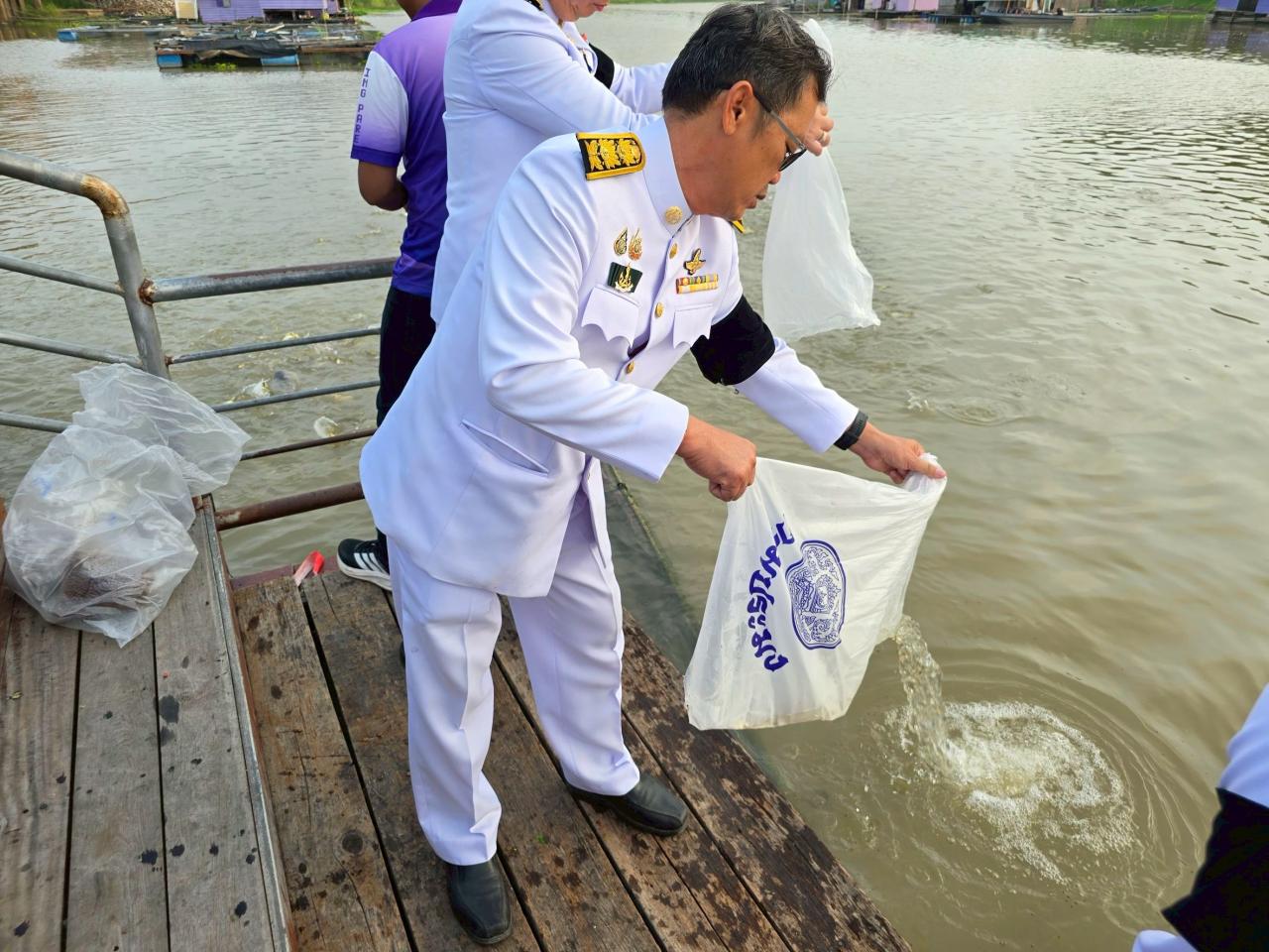 ภาพประกอบที่ 9