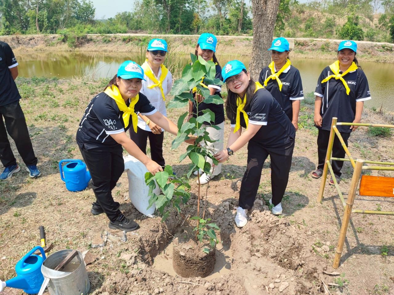 ภาพประกอบที่ 2