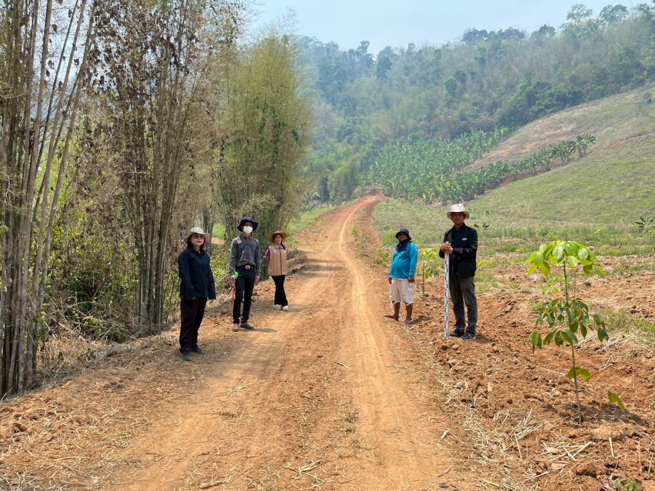 ภาพประกอบที่ 1