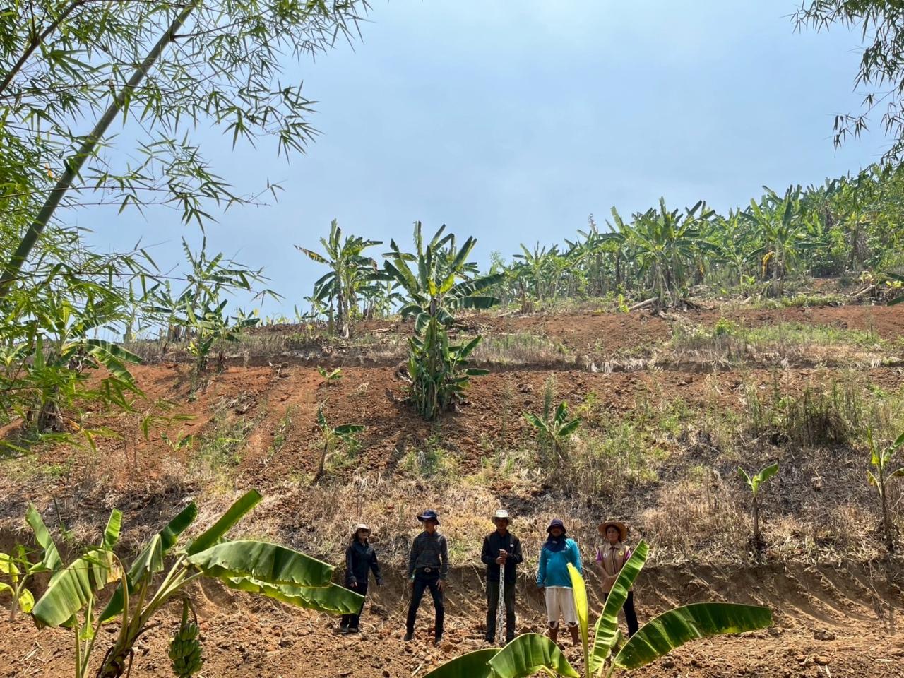 ภาพประกอบที่ 4
