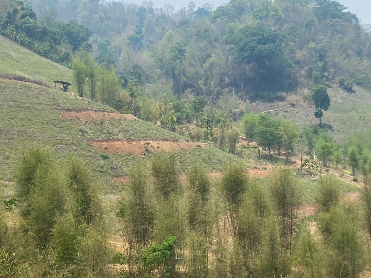 ภาพประกอบที่ 5