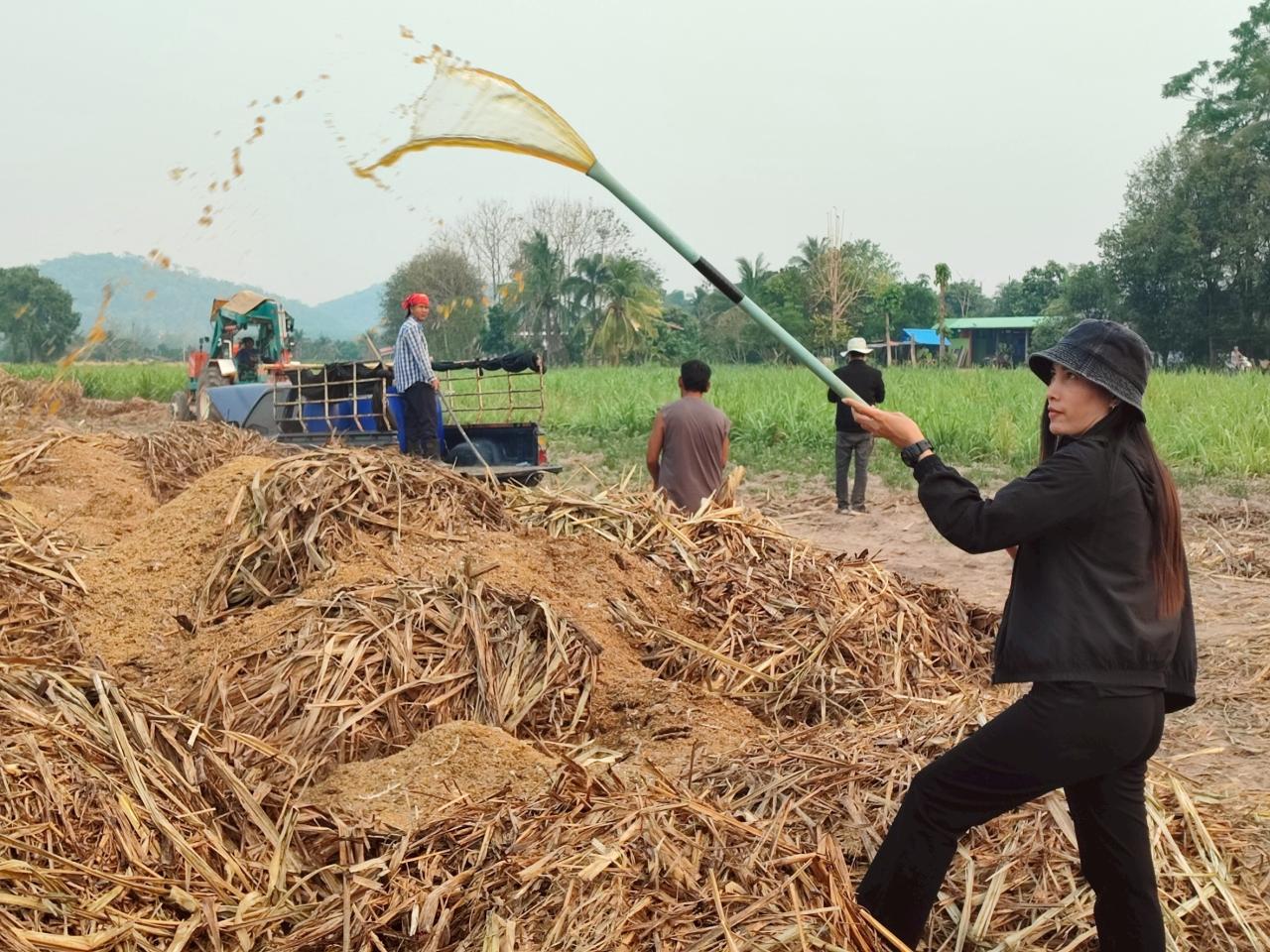 ภาพประกอบที่ 11
