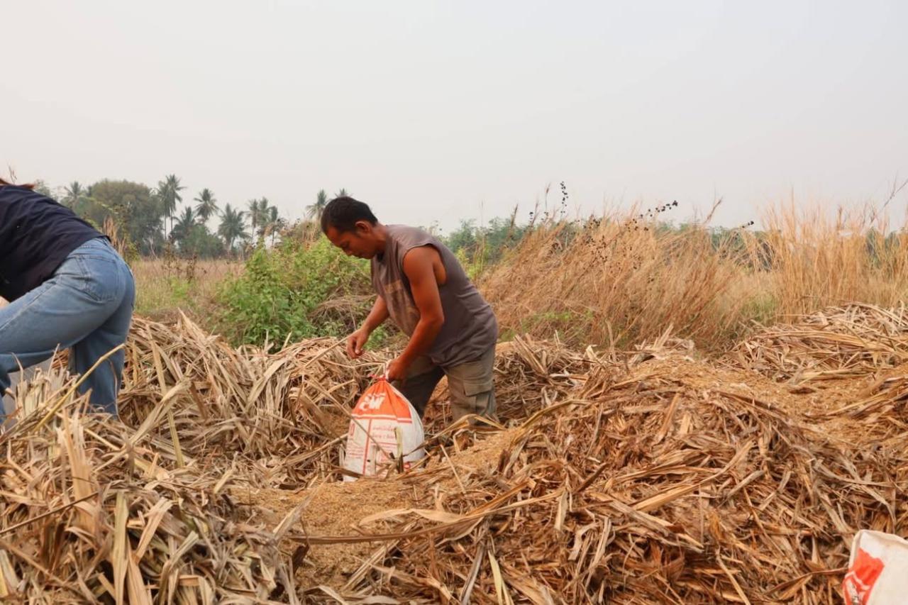 ภาพประกอบที่ 12