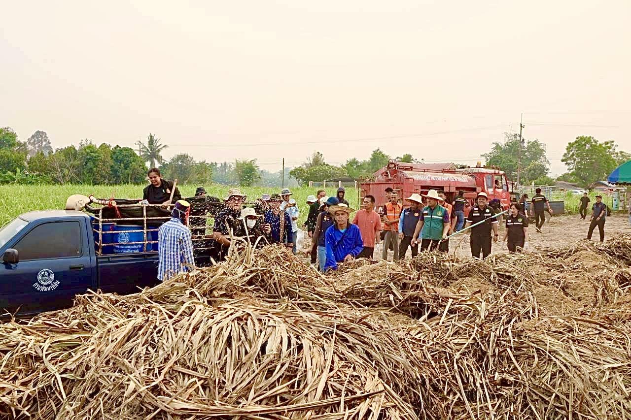 ภาพประกอบที่ 13