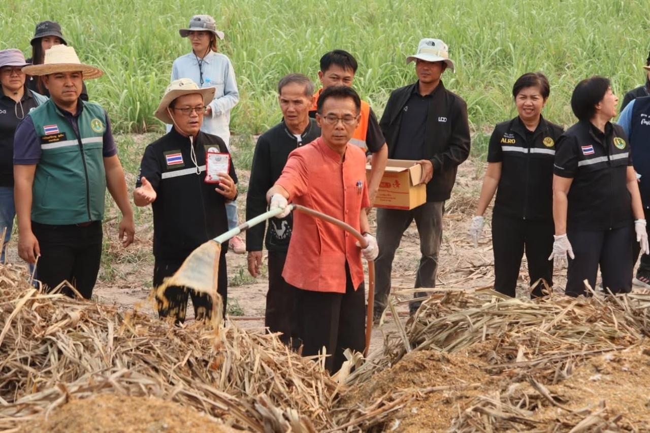 ภาพประกอบที่ 8