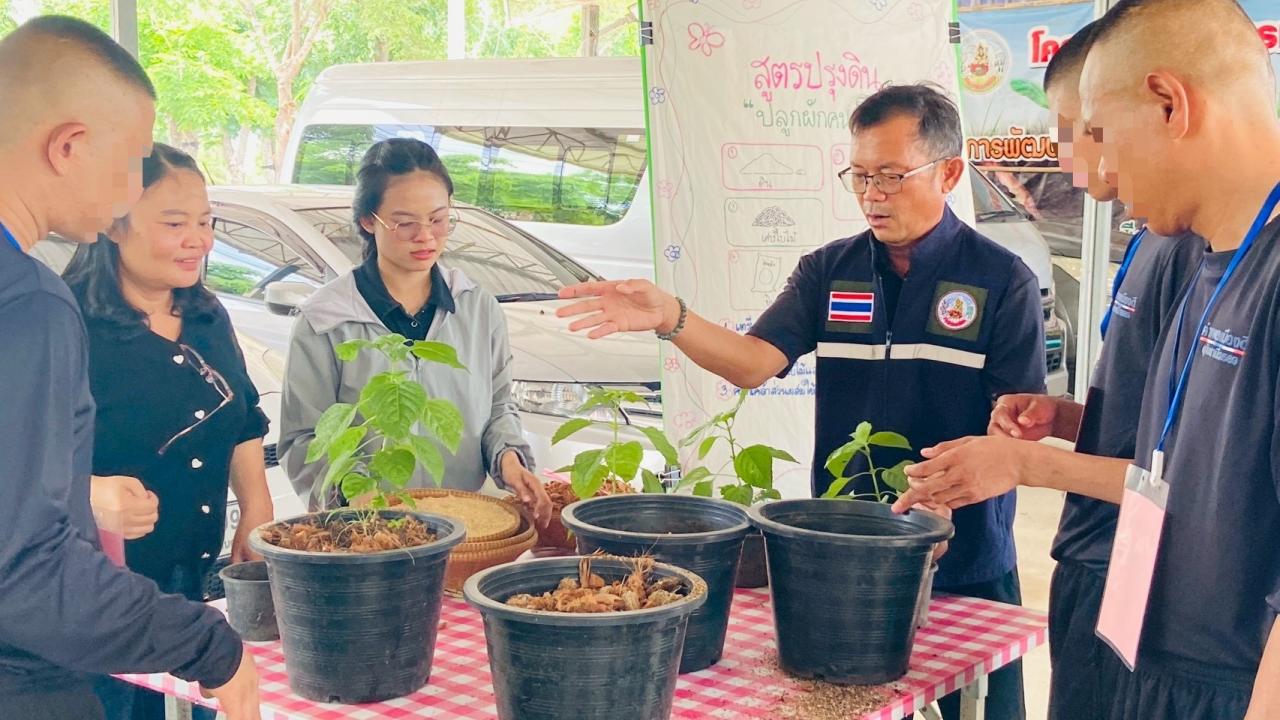 ภาพประกอบที่ 2