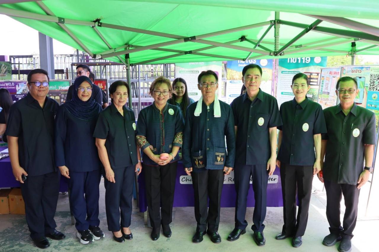 ภาพประกอบที่ 2