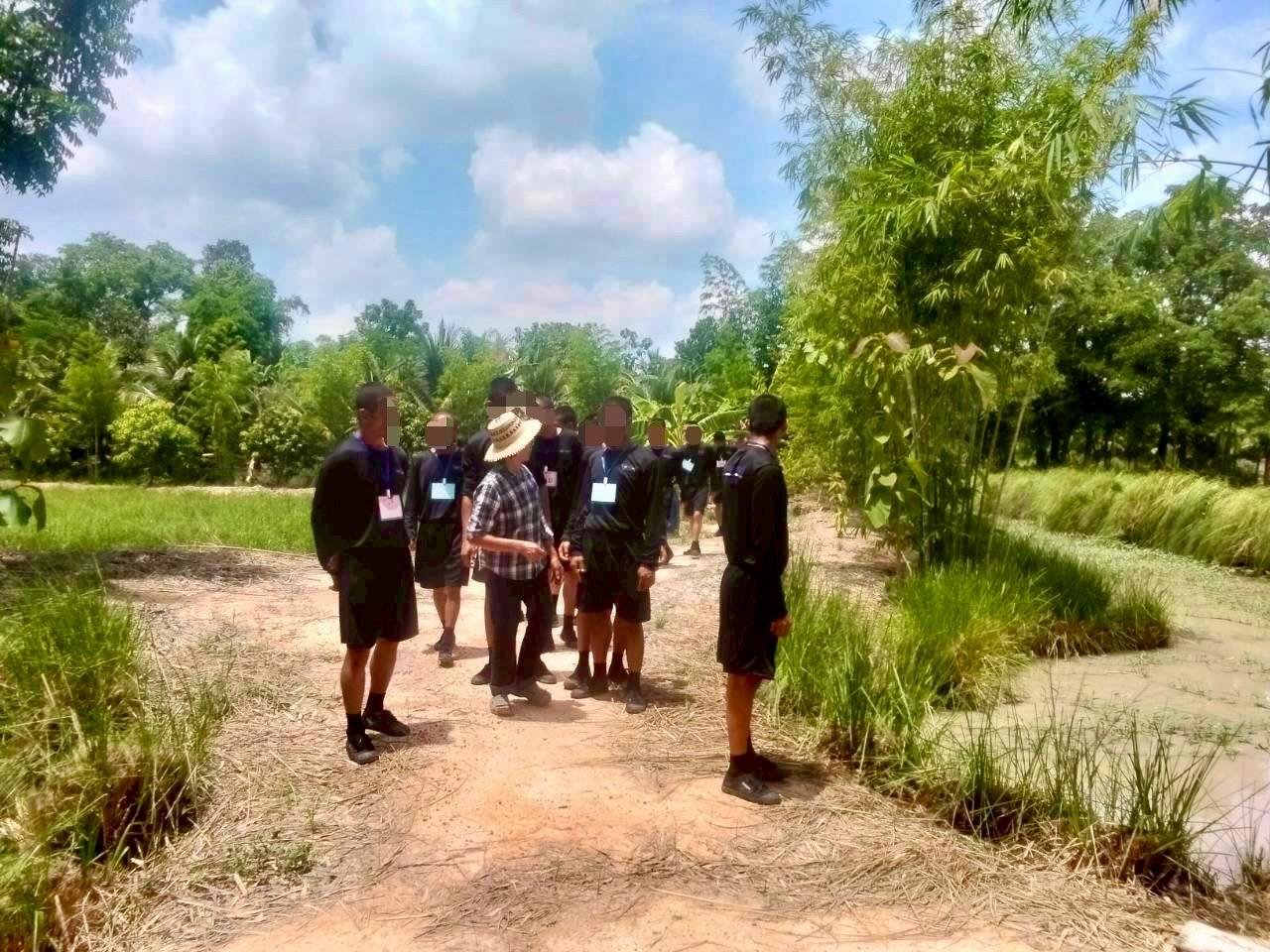 ภาพประกอบที่ 3