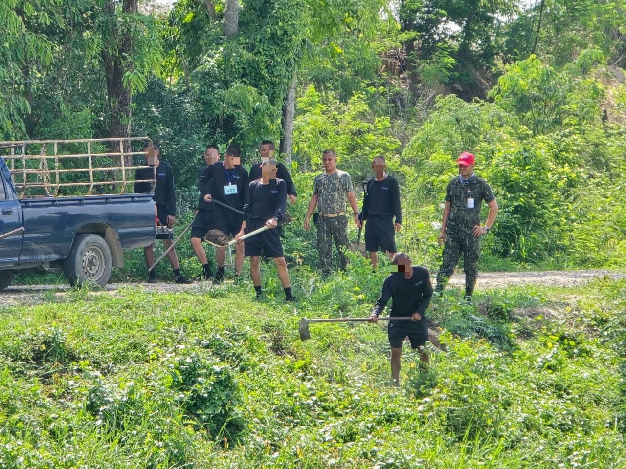 ภาพประกอบที่ 11