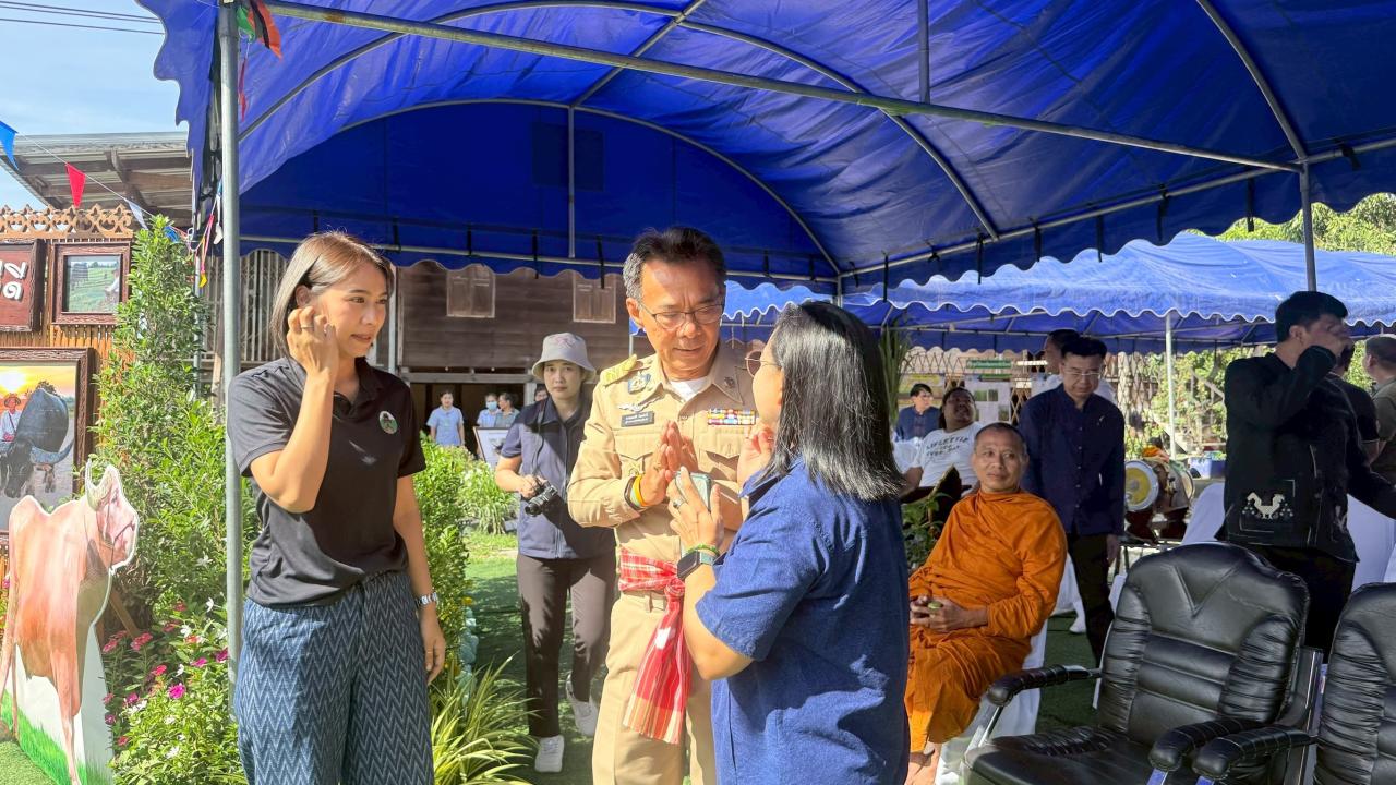 ภาพประกอบที่ 9