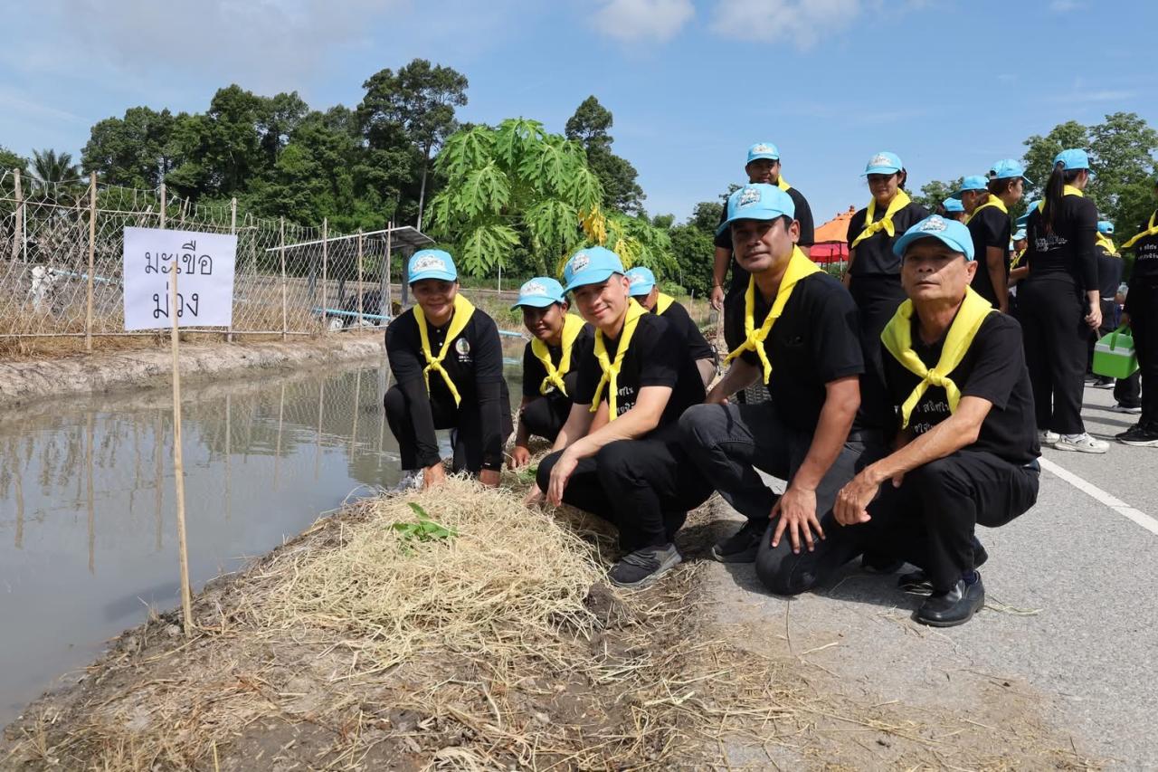 ภาพประกอบที่ 8