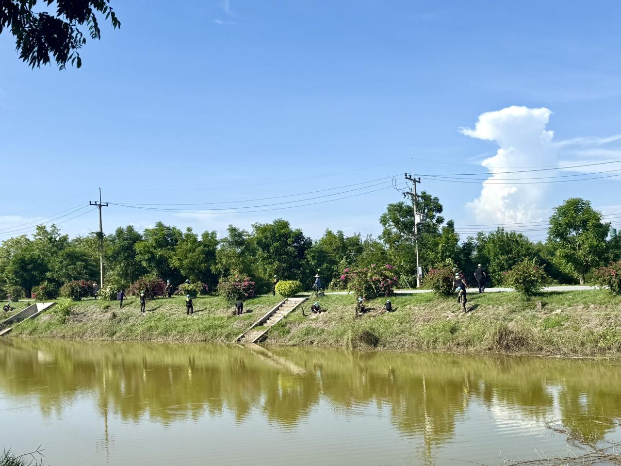 ภาพประกอบที่ 17
