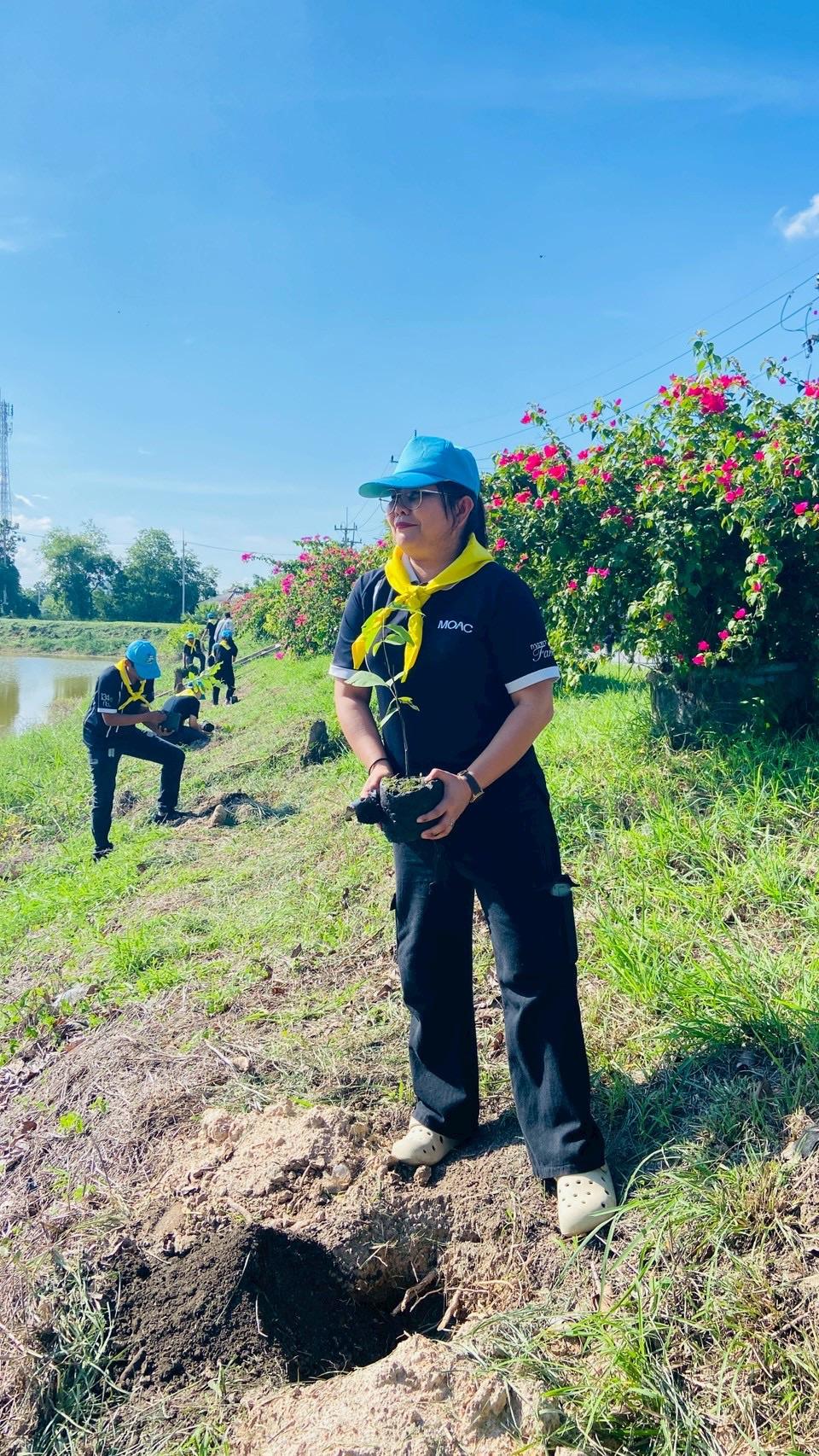 ภาพประกอบที่ 24