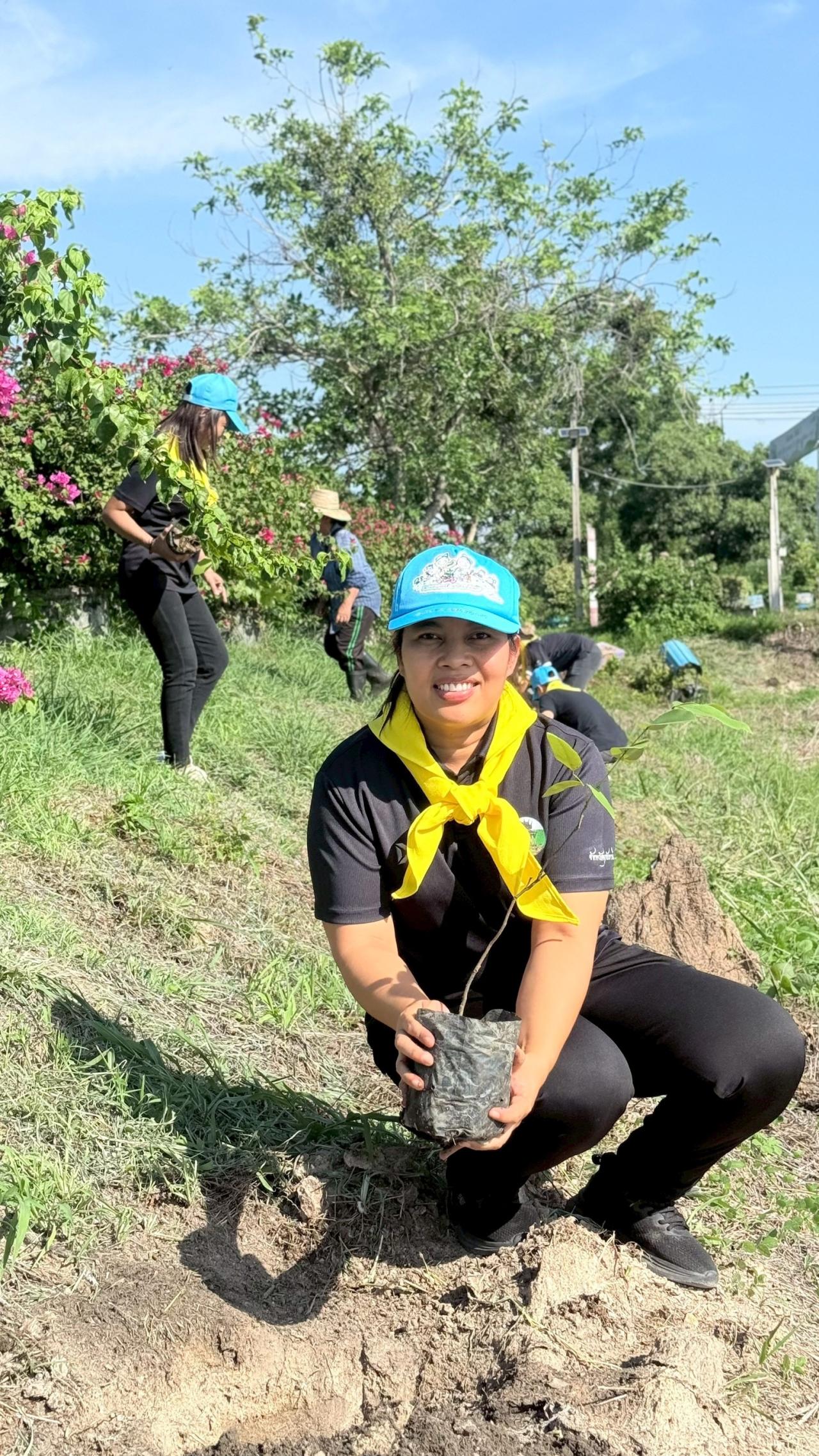 ภาพประกอบที่ 25