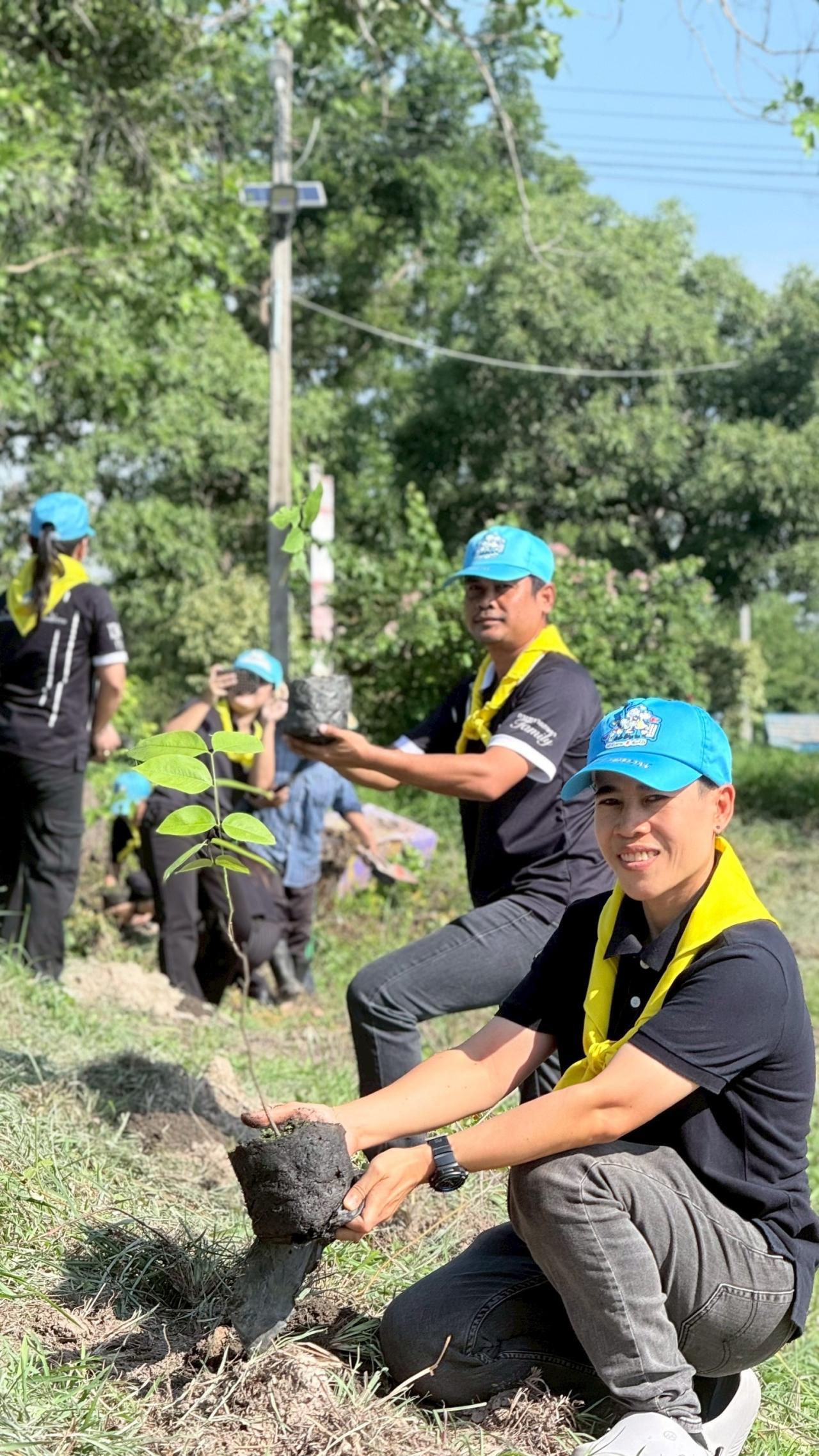 ภาพประกอบที่ 11