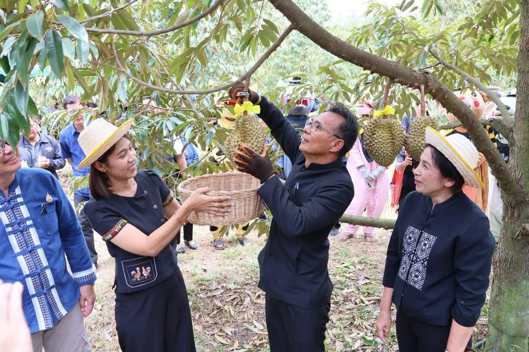 ภาพประกอบที่ 4