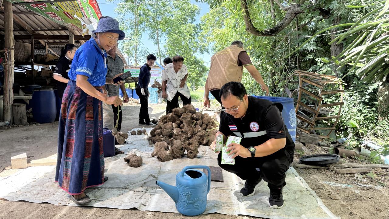 ภาพประกอบที่ 7