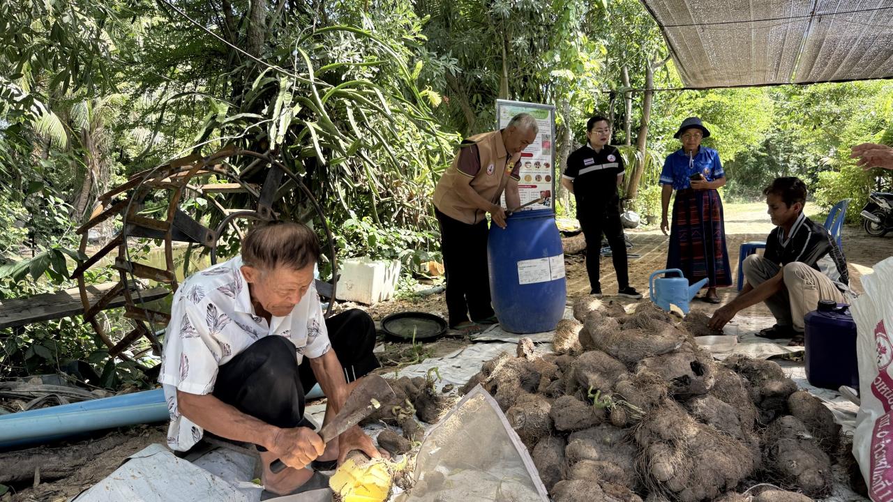 ภาพประกอบที่ 8