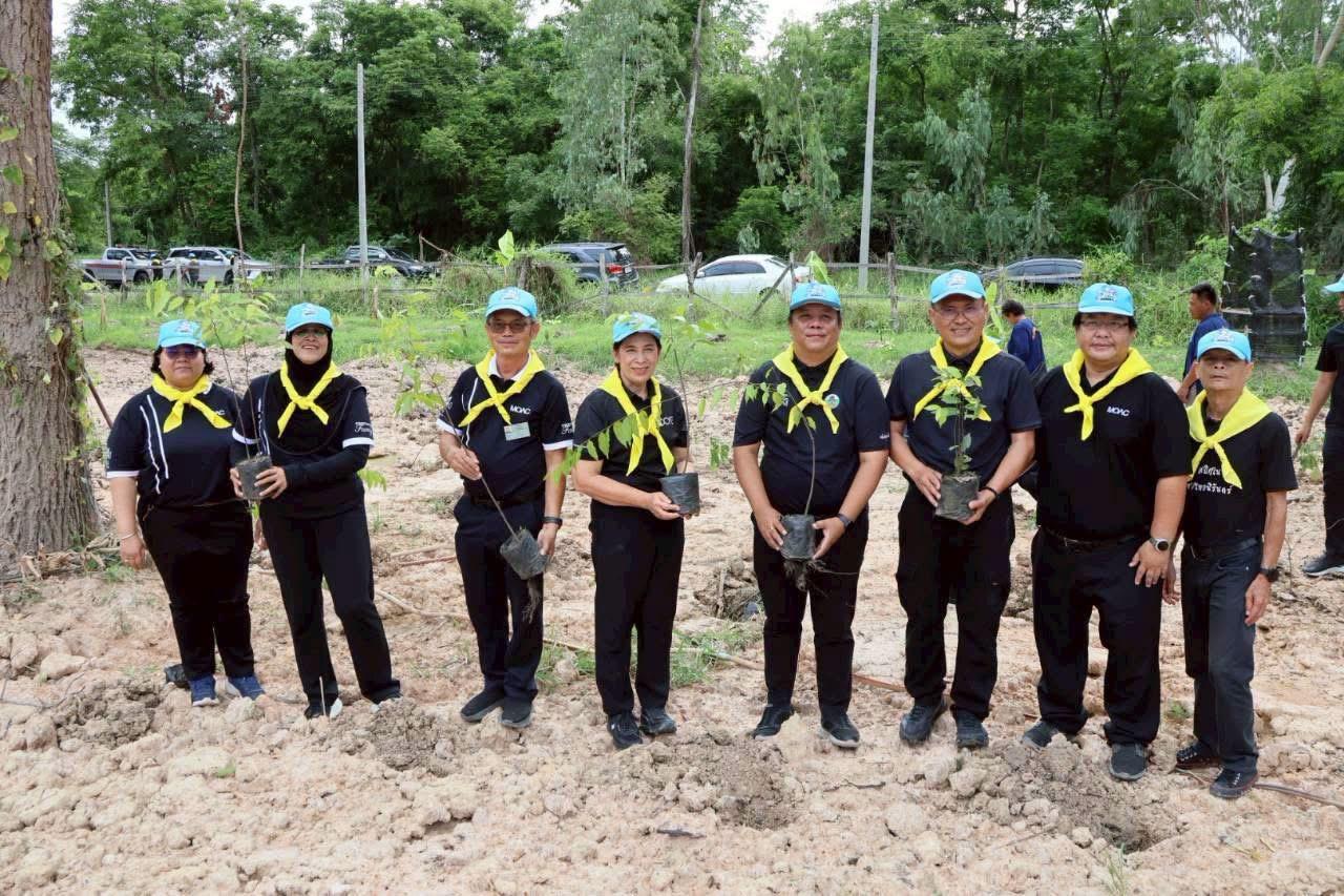 ภาพประกอบที่ 11