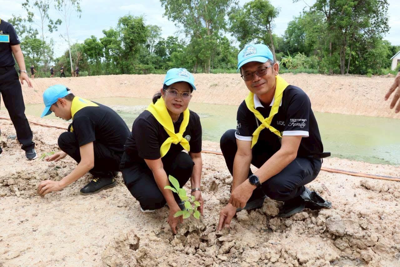 ภาพประกอบที่ 14